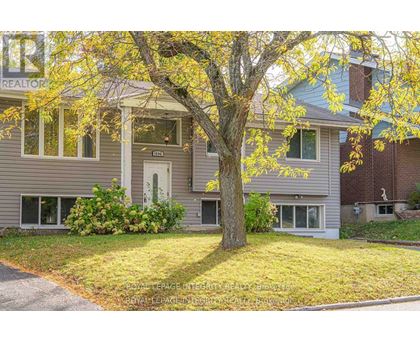 A tree with yellow leaves is in front of a grey house.