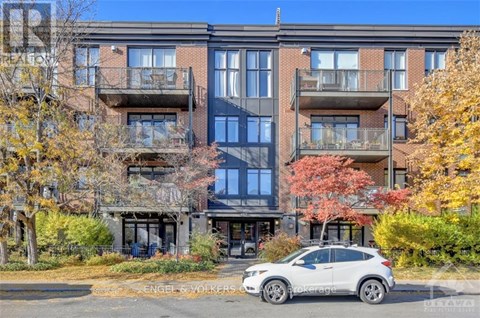 304 - 457 MCLEOD STREET 2 Beds Apartment for Rent