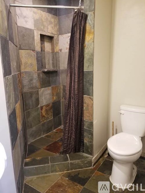 A bathroom with a toilet and a shower with a brown curtain.