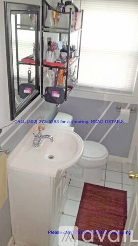 A bathroom with a white sink and a red rug.