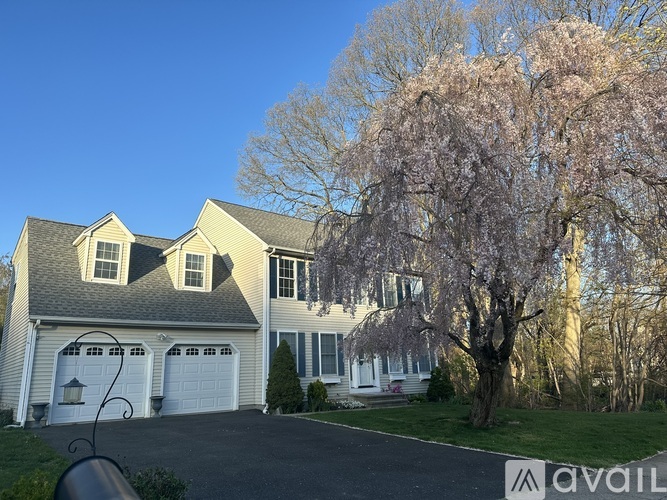 60 Settlers Ridge Rd 3 Beds Single Family Home for Rent - Photo gallery 1
