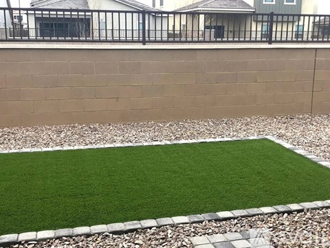 A small patch of green grass in a yard.