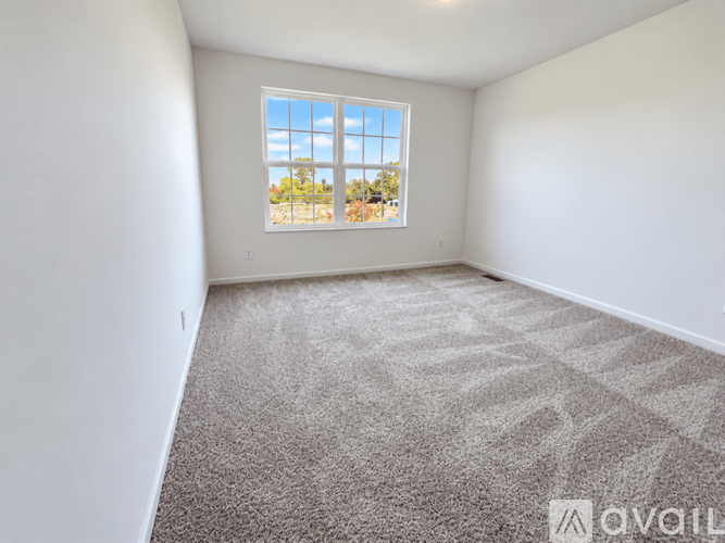 A room with a carpeted floor and a window showing a view of trees and a blue sky.
