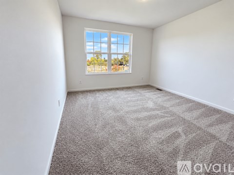A room with a carpeted floor and a window showing a view of trees and a blue sky.