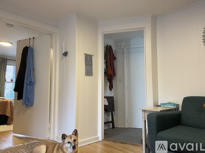 219 S Bedford St 2 Beds Apartment for Rent - Photo gallery 5
