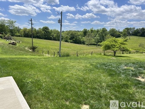 A grassy field with a fence and trees in the distance.