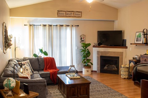 A living room with a grey couch, a wooden coffee table, a fireplace, and a TV.