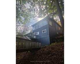 A house with a dark blue exterior is surrounded by trees.