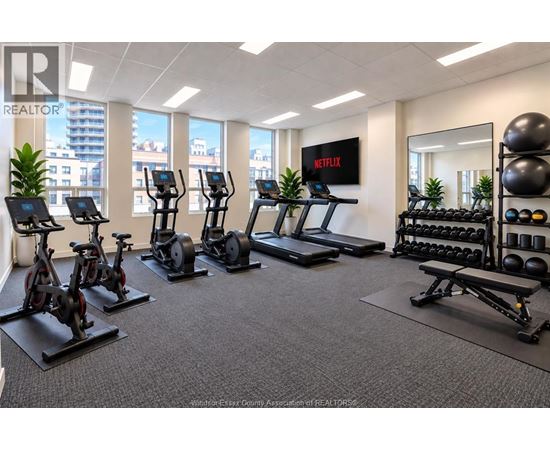 A gym room with a row of treadmills, exercise bikes, and a row of dumbbells.