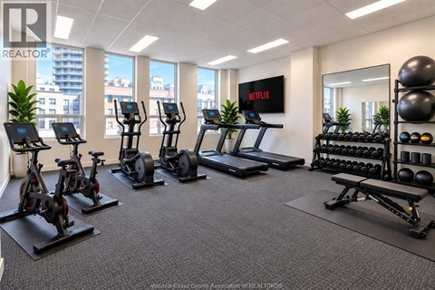 A gym room with a row of treadmills, exercise bikes, and a row of dumbbells.