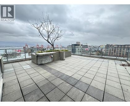 A rooftop patio with a concrete floor and a tree in a planter box.