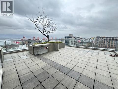 A rooftop patio with a concrete floor and a tree in a planter box.