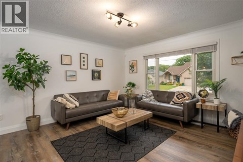 A living room with a grey couch, a coffee table, and a plant.