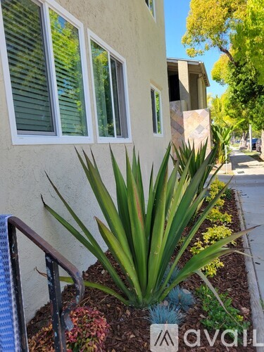 1401 Gaviota Avenue 3 Beds Apartment for Rent - Photo gallery 4