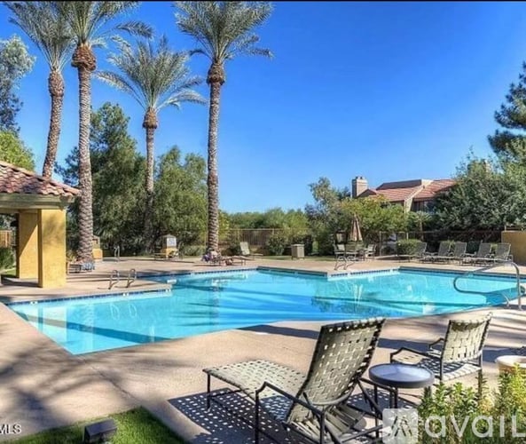 A pool surrounded by palm trees and lounge chairs.