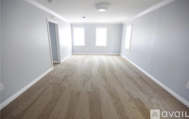 A spacious room with carpeted floor and two windows letting in natural light.