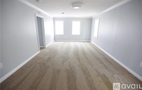 A spacious room with carpeted floor and two windows letting in natural light.