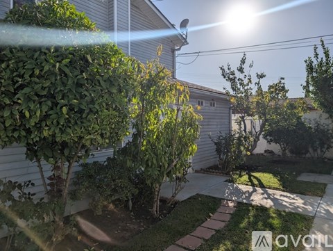 A sunny day in a backyard with a house, trees, and a walkway.