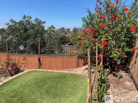 A backyard with a wooden fence, green grass, and red flowers.
