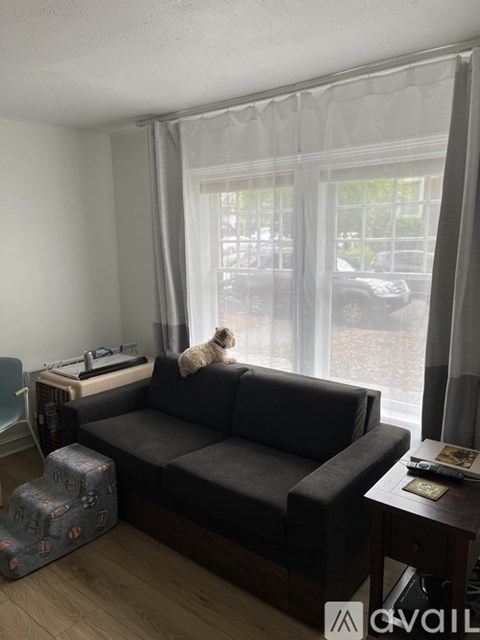 535 20Th Ave E 1 Apartment for Rent