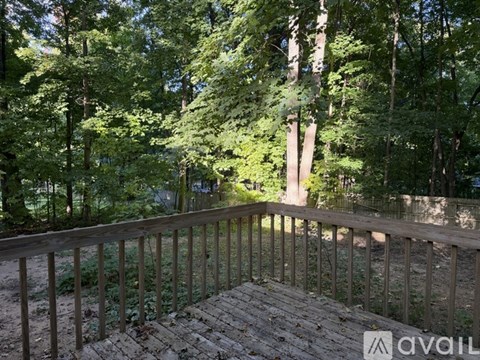 A wooden deck overlooks a forest.