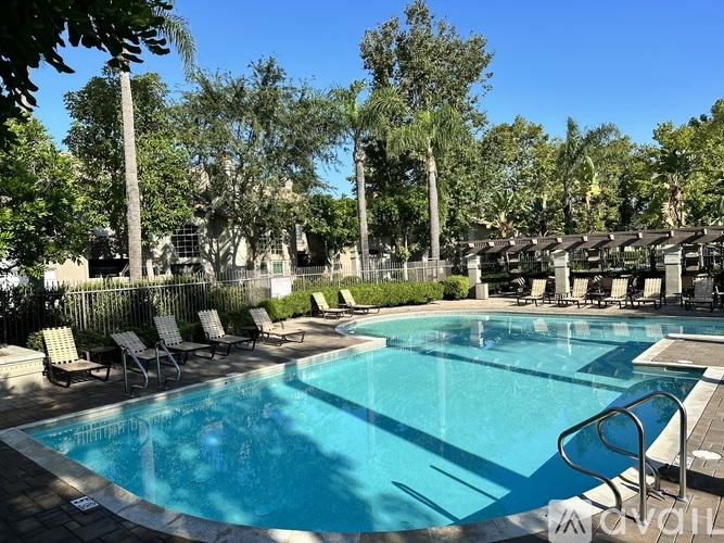 A large swimming pool surrounded by trees and lounge chairs.