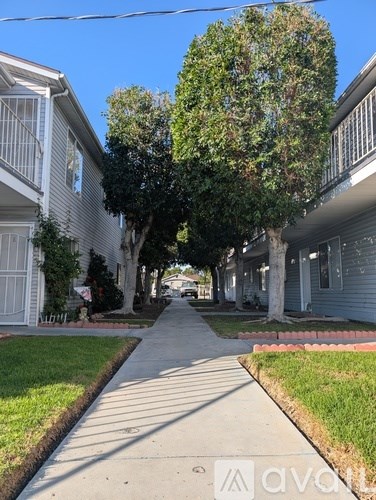 A tree-lined residential street with houses on both sides.