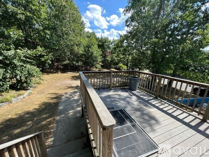 A deck with a trampoline surrounded by trees.