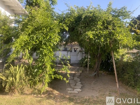 A garden pathway with a stone border leads to a house.