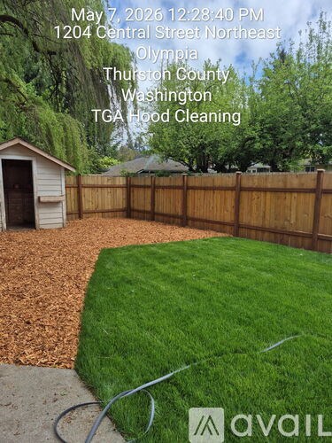 A backyard with a wooden fence and a shed.