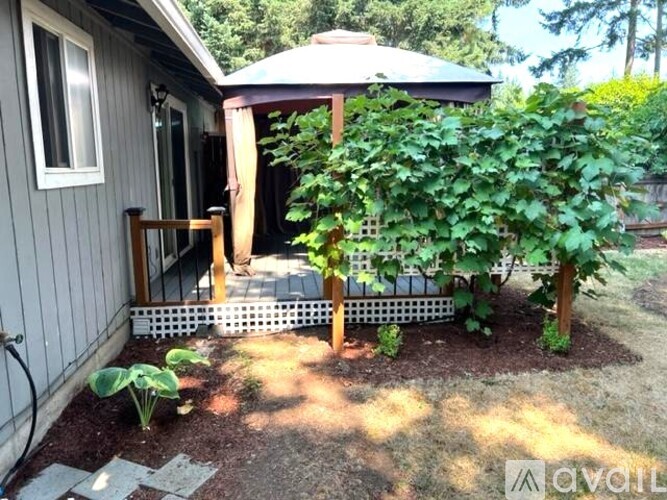 A small garden with a trellis and a patio area.