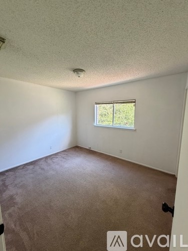 A room with a carpeted floor and a window showing greenery outside.