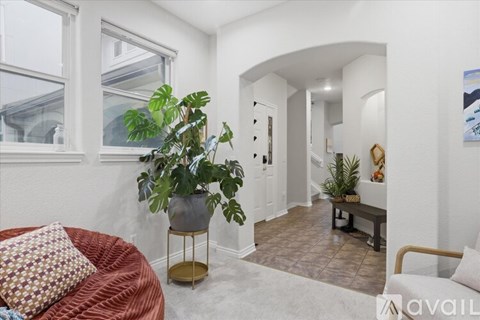 A living room with a red couch and a large plant in a grey pot.