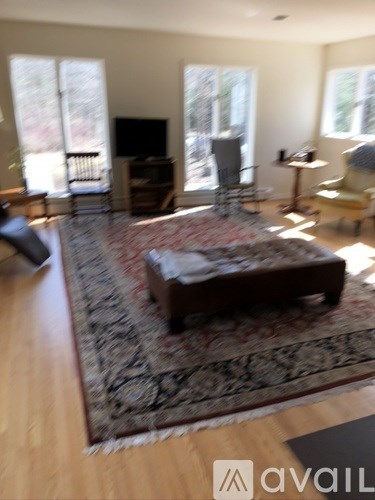A living room with a rug, a coffee table, and a television.