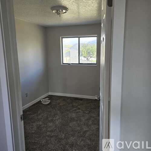 A room with a carpeted floor and a window.
