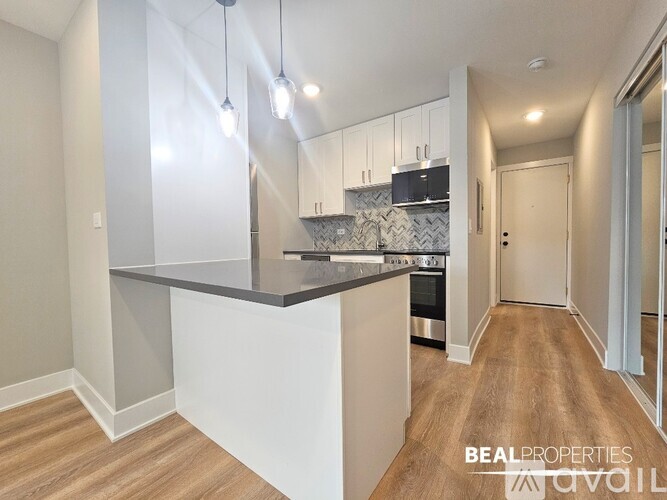 555 W Stratford Pl Studio Condo for Rent - Photo gallery 5