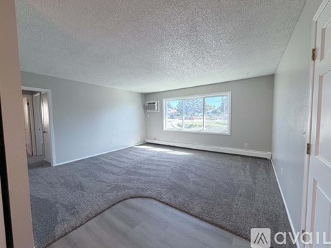 A room with a grey carpet and a window showing a view of trees outside.