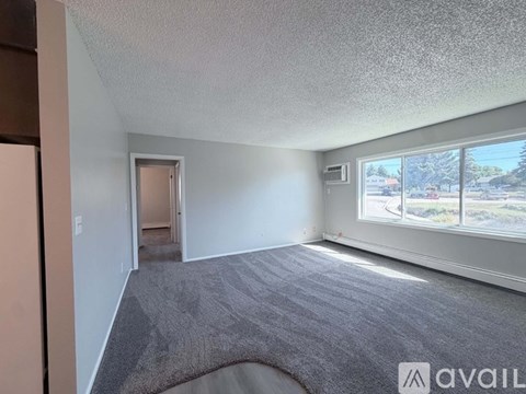 A room with a grey carpet and a window showing a street view.