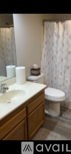 A bathroom with a toilet, sink, and shower curtain.