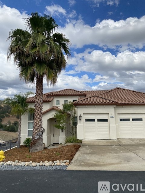 A house with a palm tree in front of it.