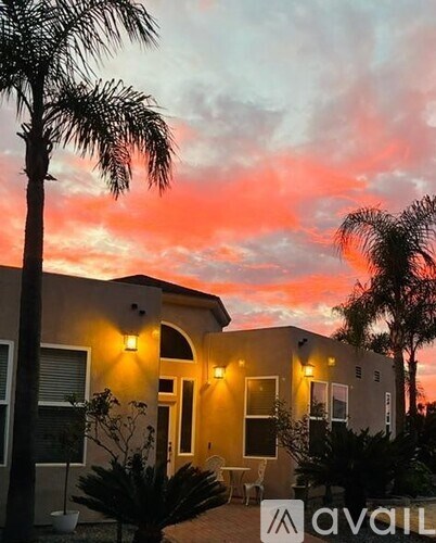 A house with a palm tree in front of it.