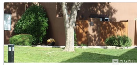 A tree in front of a building with a bush to the left and a trash can to the right.