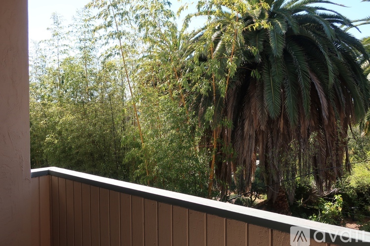 564 Oakland Avenue 1 Apartment for Rent - Photo gallery 2