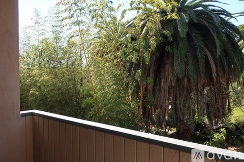 564 Oakland Avenue 1 Apartment for Rent