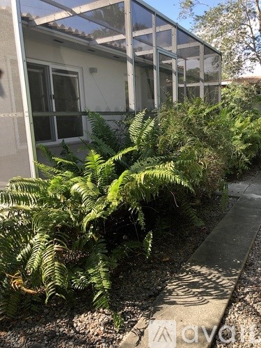 A green fern plant is in front of a building.