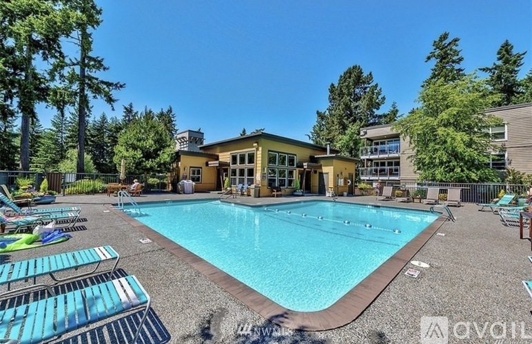 A large swimming pool surrounded by lounge chairs and trees.