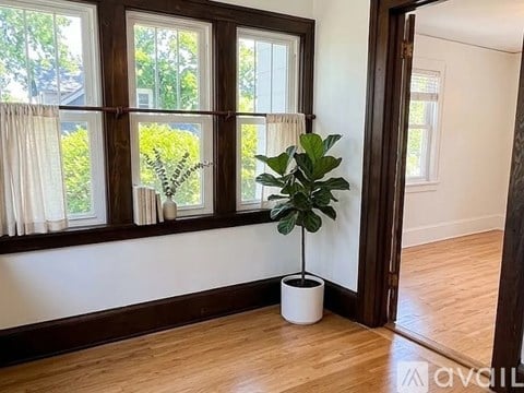A room with a plant in a white pot and a window with a view of trees.