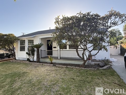 A house with a white exterior and a tree in front.