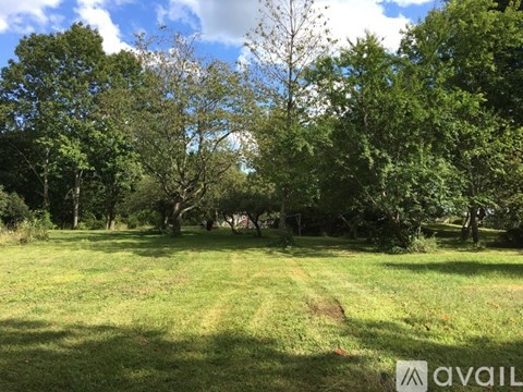 A grassy field with trees in the background.