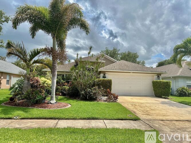 A palm tree stands in a front yard with a house in the background.